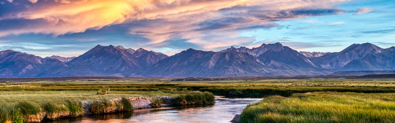 Environmental landscape